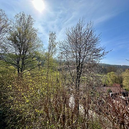 Natur Pur - Waldurlaub Im Tiny House Ronshausen Εξωτερικό φωτογραφία