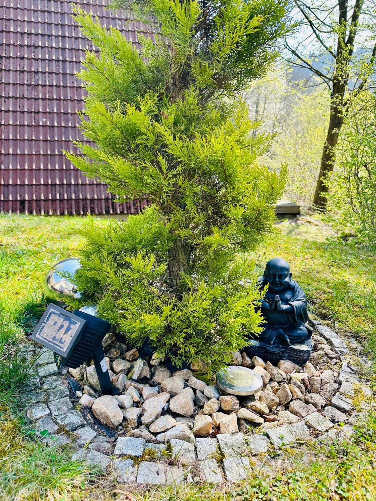 Natur Pur - Waldurlaub Im Tiny House Ronshausen Εξωτερικό φωτογραφία