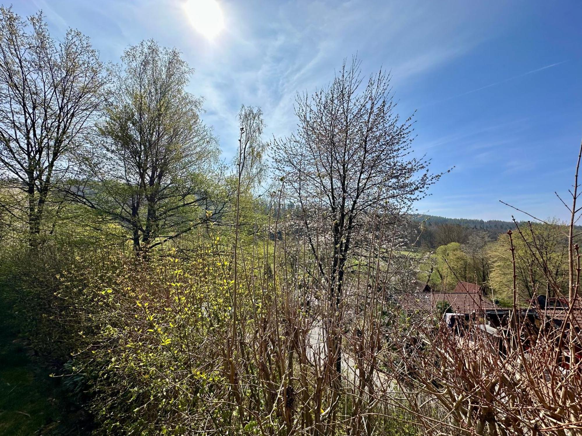 Natur Pur - Waldurlaub Im Tiny House Ronshausen Εξωτερικό φωτογραφία